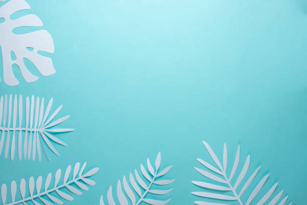 istock Tropical leaf pattern. Various paper leaves on a pastel background. art. Flat lay, top view. Background on light blue background. Lent background, summer mood 1139702769