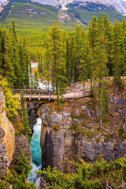 istock Autumn trip to Canada 1139704055