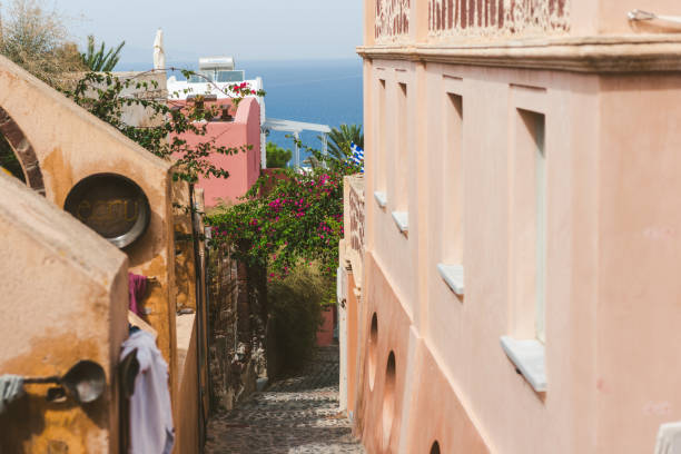 istock Bougainvillea on Santorini 1139704216