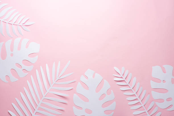 istock exotic leaves. pink and white leaves. Poster with design elements. Art background pink. Flat lay 1139704599