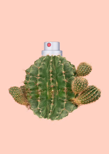 istock Natural parfum. Modern design. Contemporary art collage. 1139707198