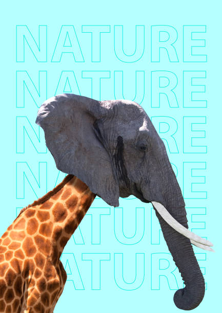 istock Nature can be different. Modern design. Contemporary art collage. 1139707209