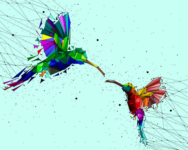 Abstract of Low poly couple hummingbird with point connecting network,animal geometric concept,vector. Abstract ,Low poly, couple, hummingbird ,point, connecting network,animal ,geometric ,concept,vector. free images online no copyright stock illustrations
