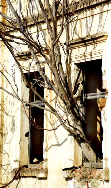 istock windows of an old abandoned ruinied buliding, 1139712075