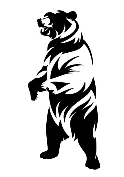 illustrazioni stock, clip art, cartoni animati e icone di tendenza di in piedi grizzly orso bordo nero contorno - orso grizzly