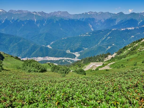 istock Mountain range and valley with residential houses, view from a height. 1139715612