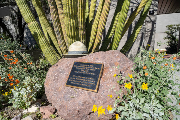 memorial dedicado al guardabosques del parque nacional de los estados unidos, kris eggle, que fue asesinado por un cártel de drogas mexicano en 2002 en el monumento nacional de los tubos cactus de organ en la línea del deber - organ pipe cactus fotografías e imágenes de stock