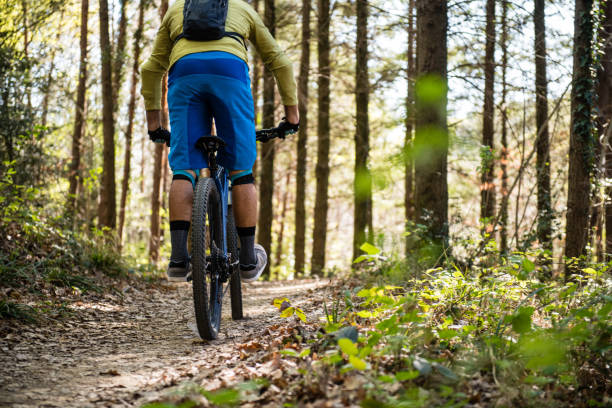 istock MTB Enduro Mountain Biking in a pristine Forest 1139719813