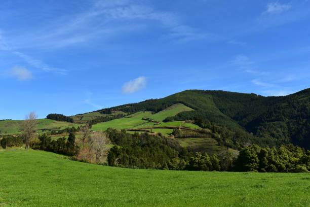 istock Stunning Fields on Sao Miguel in the Azores 1139719835