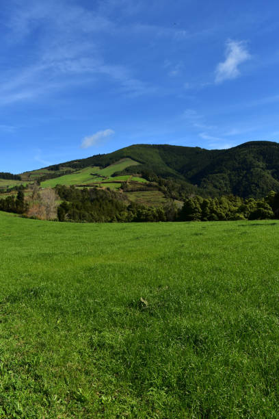 istock Stunning Fields on Sao Miguel in the Azores 1139720390