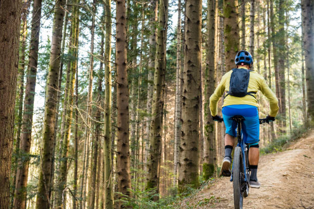 istock MTB Enduro Mountain Biking in a pristine Forest 1139720479