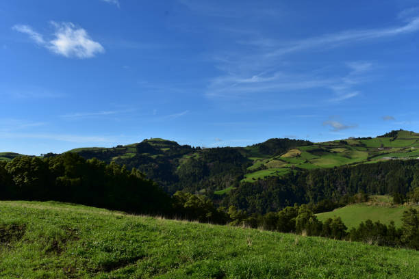 istock Stunning Fields on Sao Miguel in the Azores 1139720512