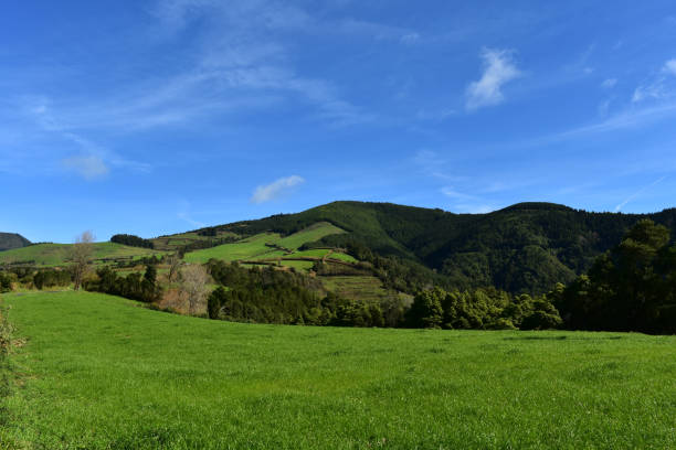 istock Stunning Fields on Sao Miguel in the Azores 1139720575