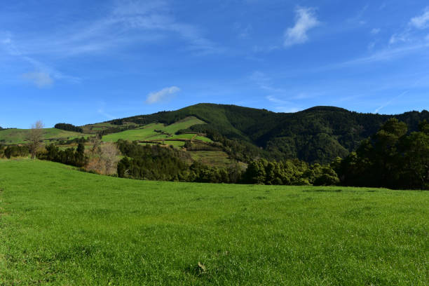 istock Stunning Fields on Sao Miguel in the Azores 1139720626