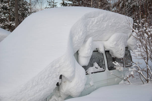 istock Car covered with snow is left in the forest 1139720854