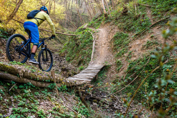 istock MTB Enduro Mountain Biking in a pristine Forest 1139721320