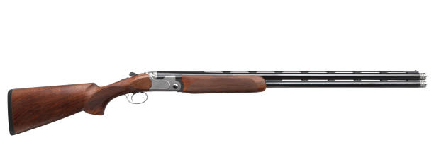istock Classic double-barrell smooth-bore hunting rifle isolated on white background 1139726198