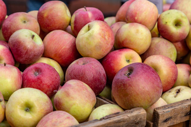 istock An Abundance of Apples 1139728796