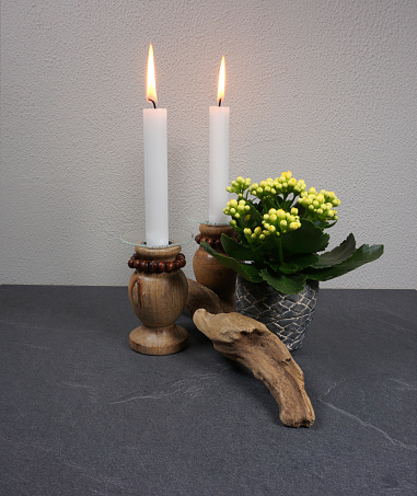 Candle light ambiance with kalanchoe indoor plant and decoration from driftwood at grey background with copy space for your own text