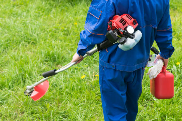 un hombre de uniforme con una cortadora de césped va a cortar hierba verde - hedge clippers weed trimmer grass lawn fotografías e imágenes de stock