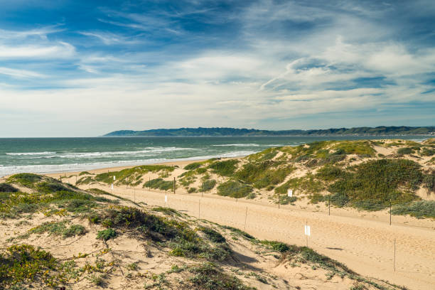 istock Footpath through Sand Dunes and Ocean View. 1139736505