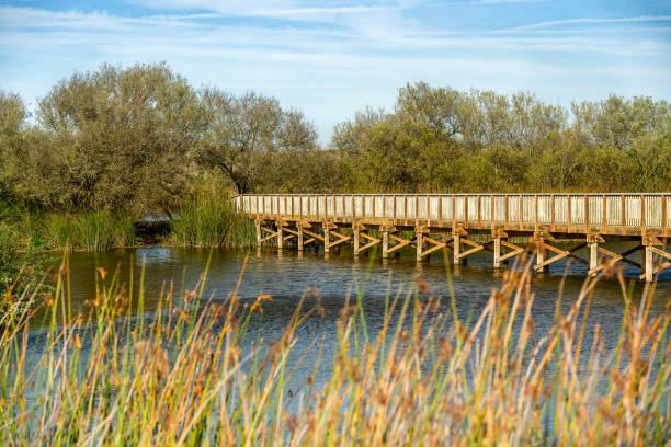 istock Rustic Wooden Bridge Through the Lake 1139736511