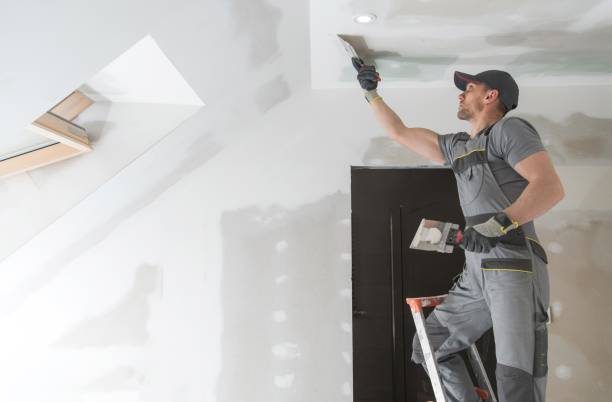 istock Finishing Drywall Walls 1139738315