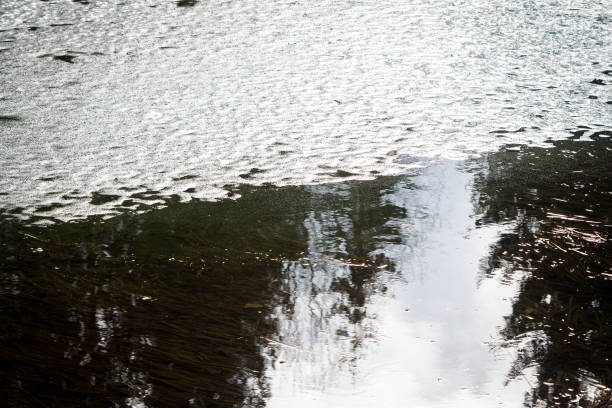 istock Surface of pond covered with melting ice 1139738493