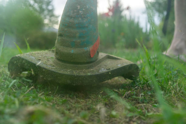 istock worker cutting grass in garden with the weed trimmer 1139739119
