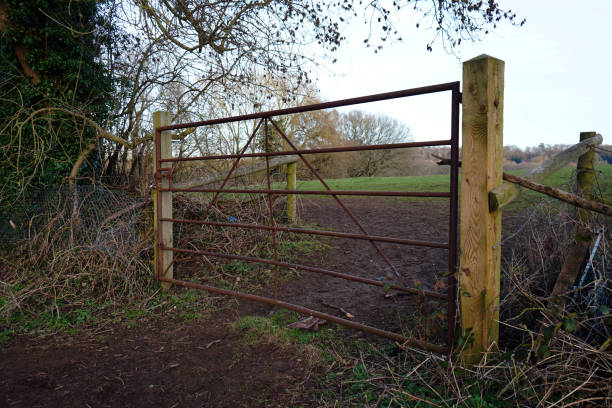 istock Old rusty metal gate in a farm field 1139740249