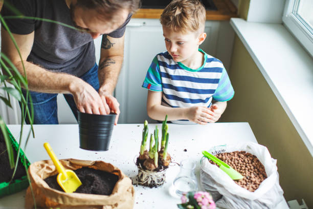 istock Father and son planting at home 1139740358