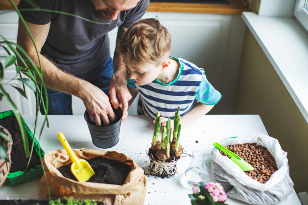 istock Father and son planting at home 1139740388
