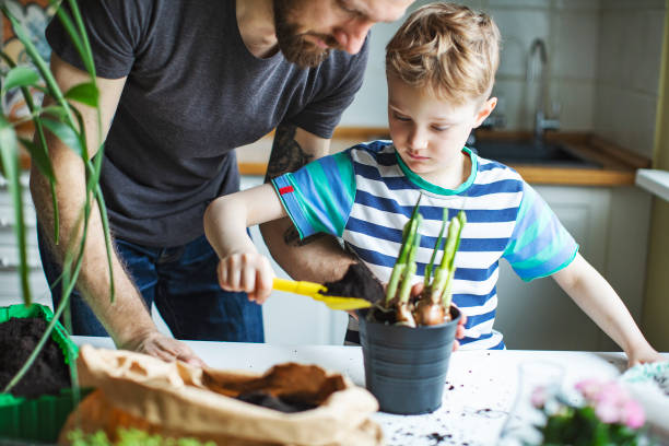 istock Father and son planting at home 1139740440