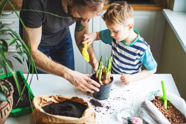 istock Father and son planting at home 1139740458