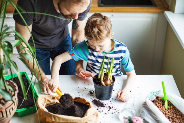 istock Father and son planting at home 1139740460