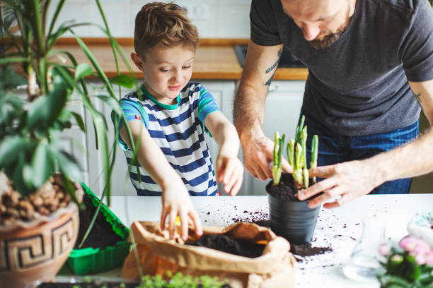 istock Father and son planting at home 1139740462