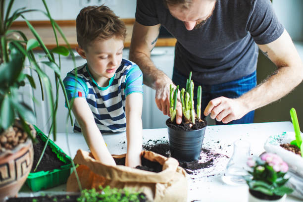 istock Father and son planting at home 1139740473