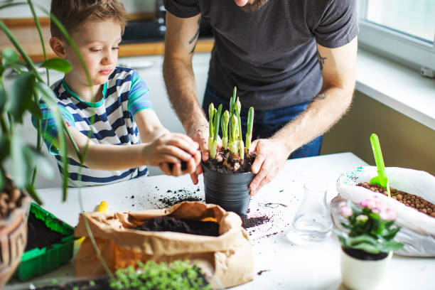 istock Father and son planting at home 1139740477