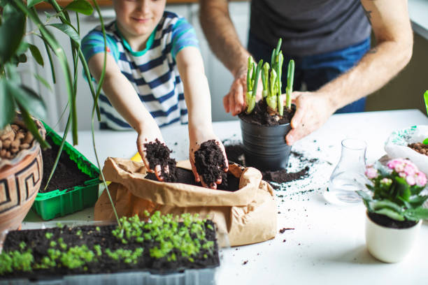 istock Father and son planting at home 1139740484
