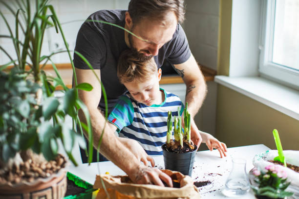 istock Father and son planting at home 1139740485