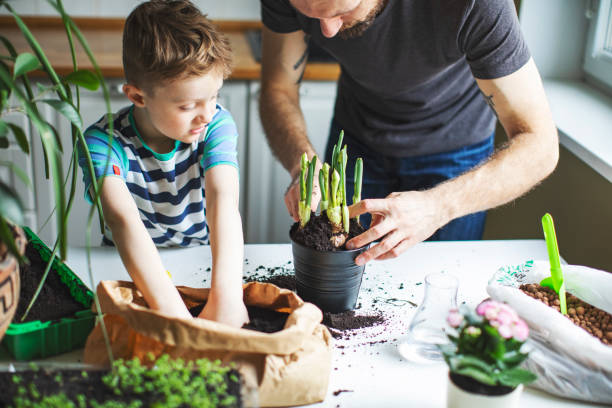 istock Father and son planting at home 1139740492