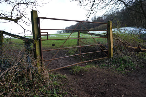 istock Old rusty metal gate in a farm field 1139741387