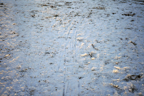 istock Ground covered snow with footprints and tracks 1139742695
