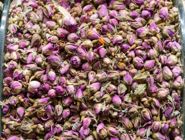 istock Close-up of Blooming Rose Tea 1139742705