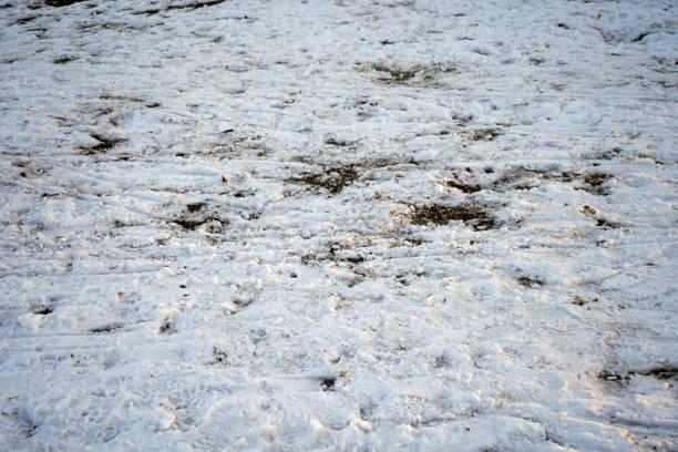 istock Ground covered snow with footprints and tracks 1139742719
