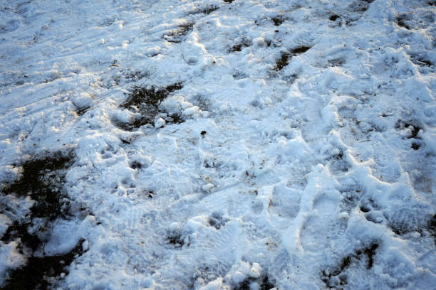 istock Ground covered snow with footprints and tracks 1139742758