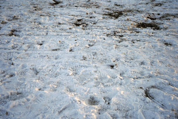 istock Ground covered snow with footprints and tracks 1139742792