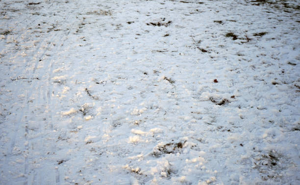 istock Ground covered snow with footprints and tracks 1139742817