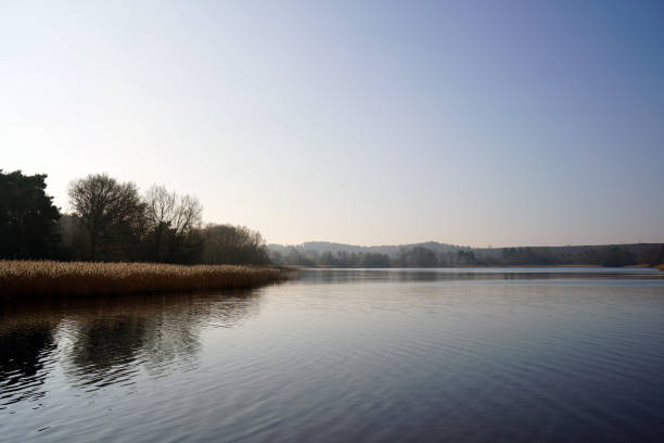 istock Reflection of woodland on a lake 1139743018
