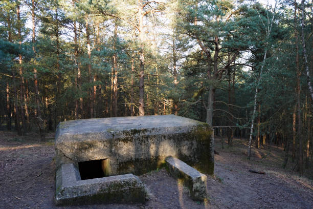 istock Old ruin of a concrete bunker 1139744536